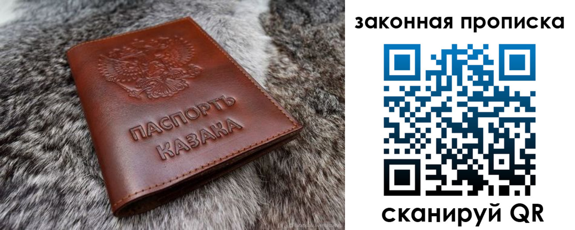 прописка в Зуевке